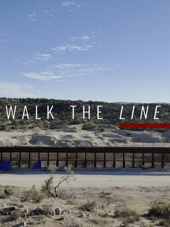 Walk The Line poster