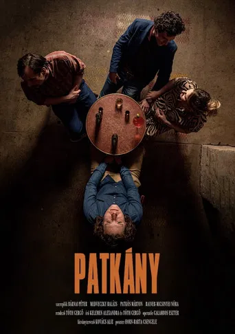 Patkány poster