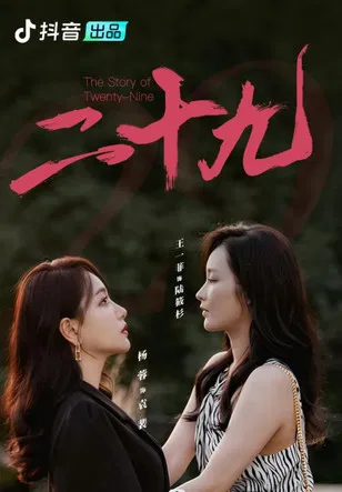 The Story of Twenty-Nine poster