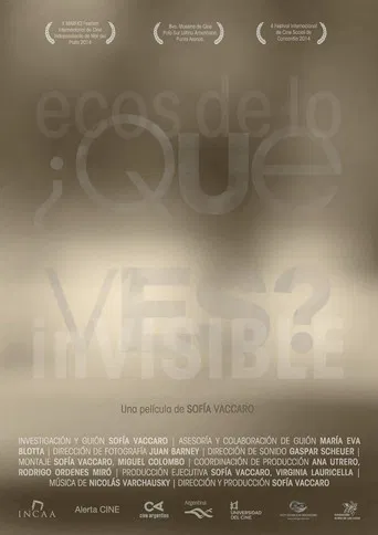 ¿Qué ves? Ecos de lo invisible poster