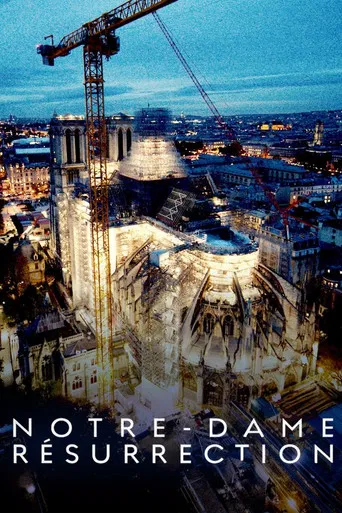 Notre-Dame Résurrection poster