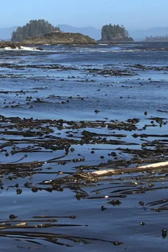 Trace Evidence poster