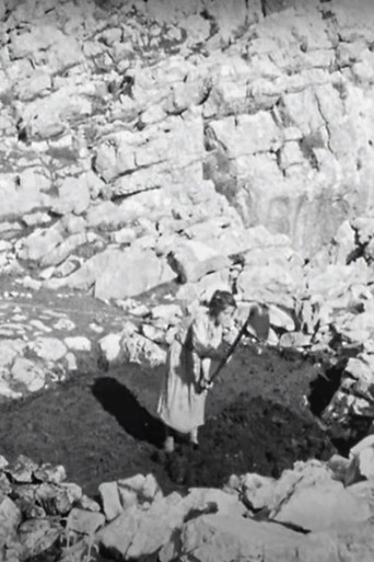 Prisoners of Stones poster