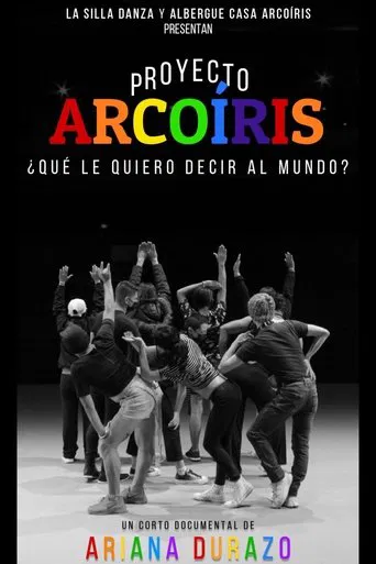 Proyecto Arcoíris: What Do I Want To Say to the World? poster