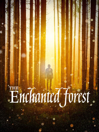 The Enchanted Forest poster