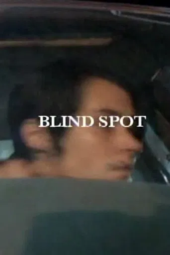 Blind Spot poster