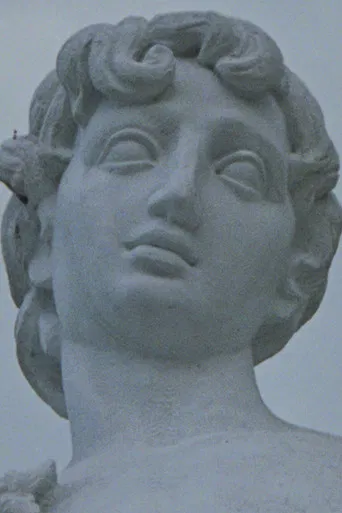 Remapping the Origins poster