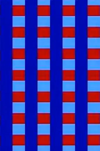 Video Ravingz poster