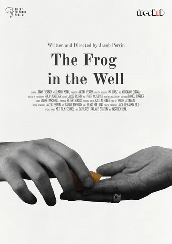 The Frog in The Well poster