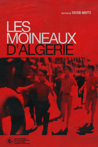 Les Moineaux d'Algérie poster