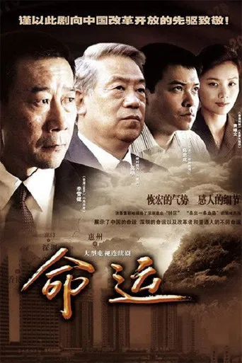 命运 poster