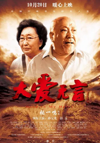 大爱无言 poster