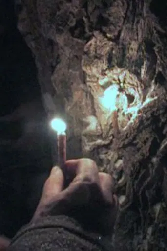 Through the Needles of Coniferous Trees poster