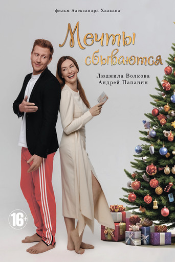 Мечты сбываются poster