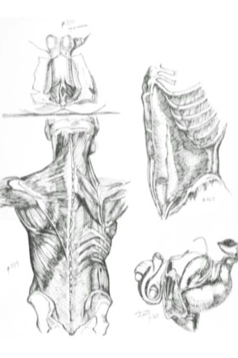 Médicalement poster