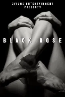 The Black Rose poster