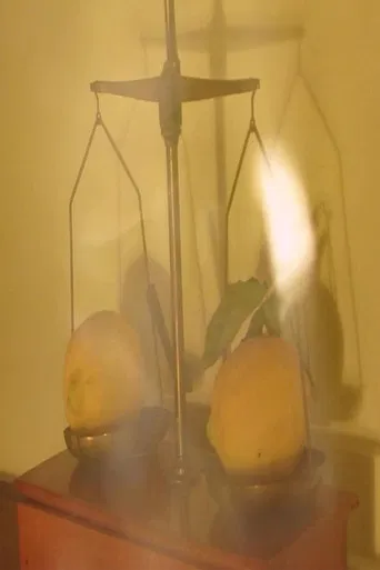 L'ABCDaire de l'amoureuse d'un photographe poster