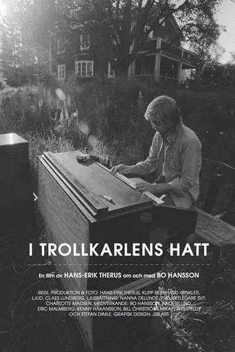 I Trollkarlens Hatt poster