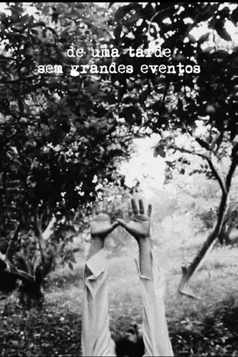 De Uma Tarde Sem Grandes Eventos poster