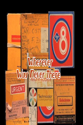 Wherever Was Never There poster
