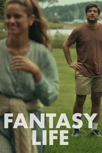 Fantasy Life poster