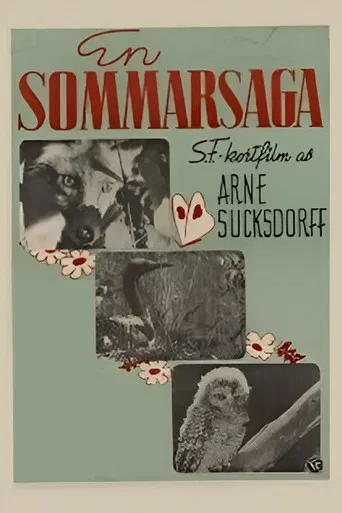 Summer's Tale poster