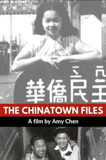 The Chinatown Files poster