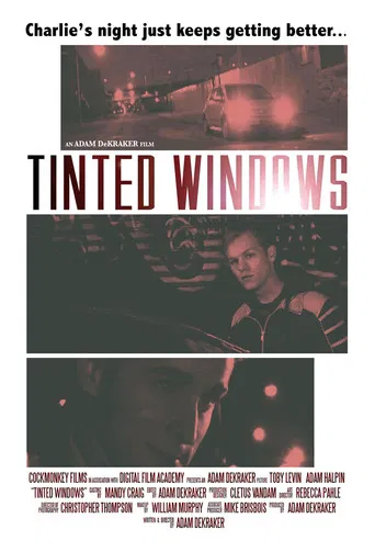 Tinted Windows poster
