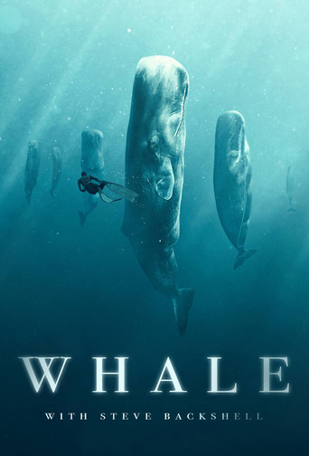 Whale with Steve Backshall poster