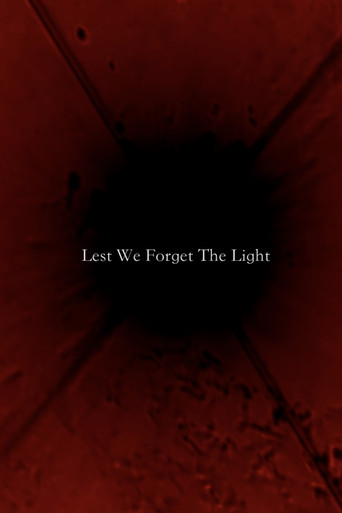 Lest We Forget The Light poster