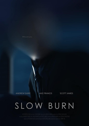 Slow Burn poster