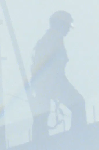 Low Visibility poster