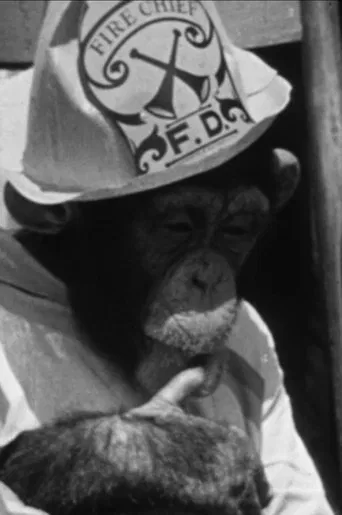 The Rookie Fireman poster