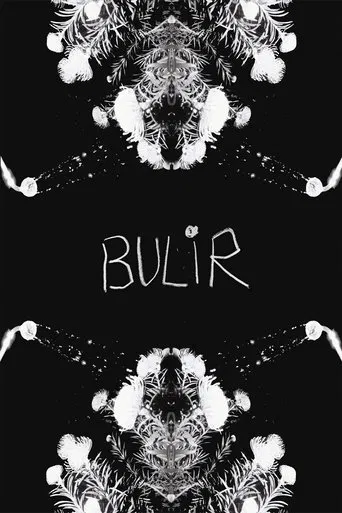 BULIR poster