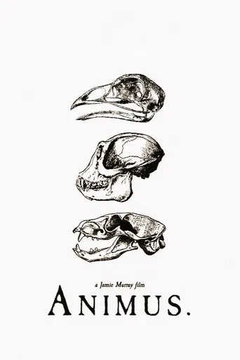 Animus poster