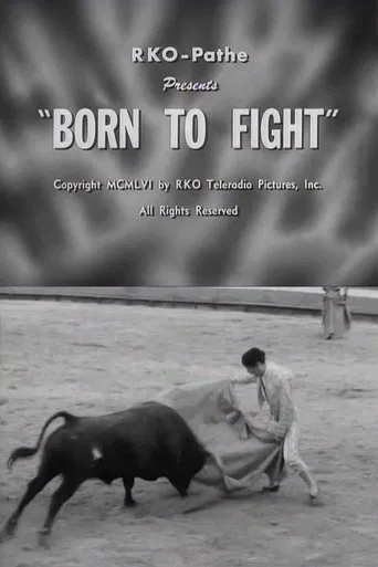 Born to Fight poster