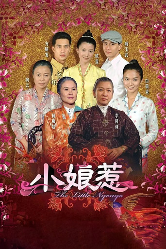 The Little Nyonya poster