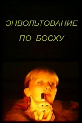 Bosch Envoltation poster