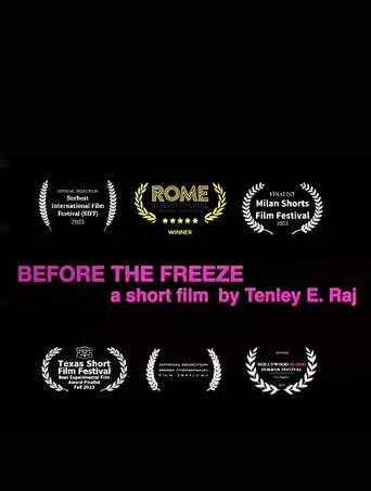 Before the Freeze poster