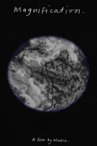 Magnification. poster