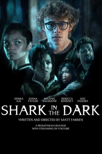 Shark In The Dark poster