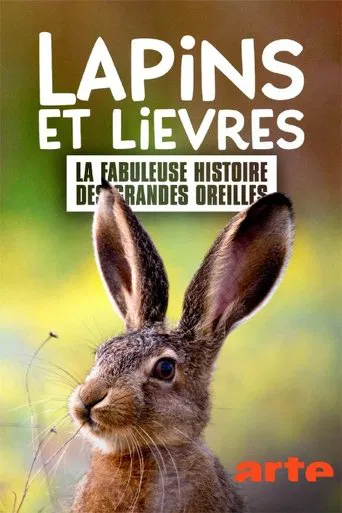 Lapins et lièvres - La Fabuleuse histoire des grandes oreilles poster