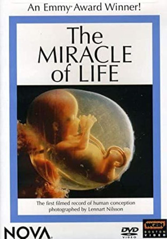The Miracle of Life poster