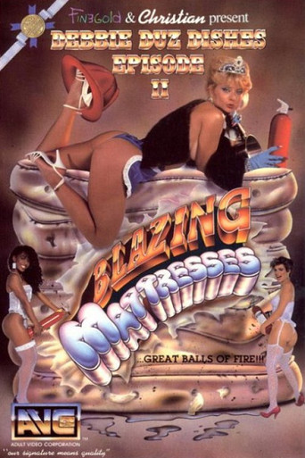 Debbie Duz Dishes 2: Blazing Mattresses poster