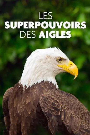 Superpowered Eagles poster