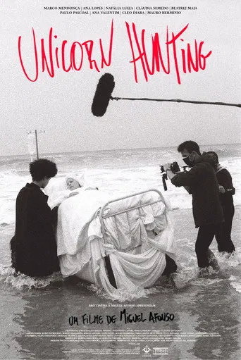 Unicorn Hunting poster