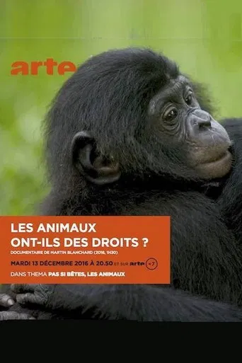 Les animaux ont ils des droits? poster