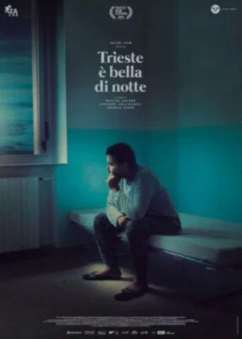 Trieste Shines at Night poster