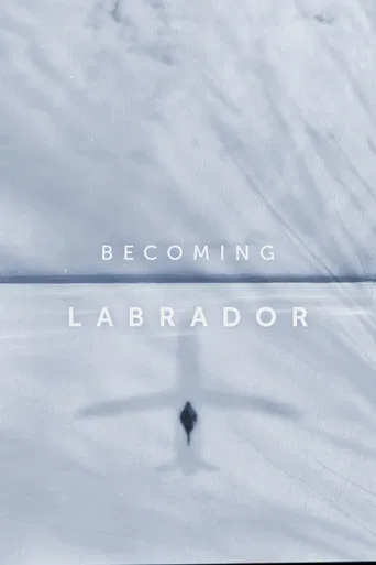 Becoming Labrador poster