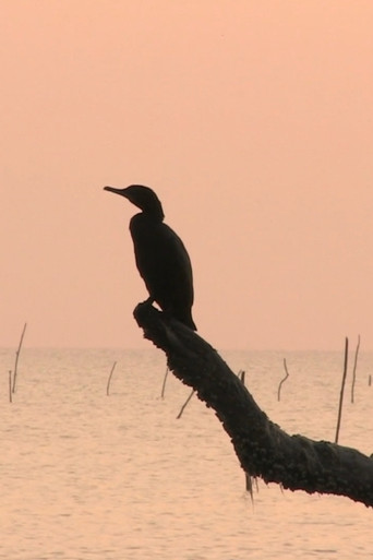 Isidro Guerra poster